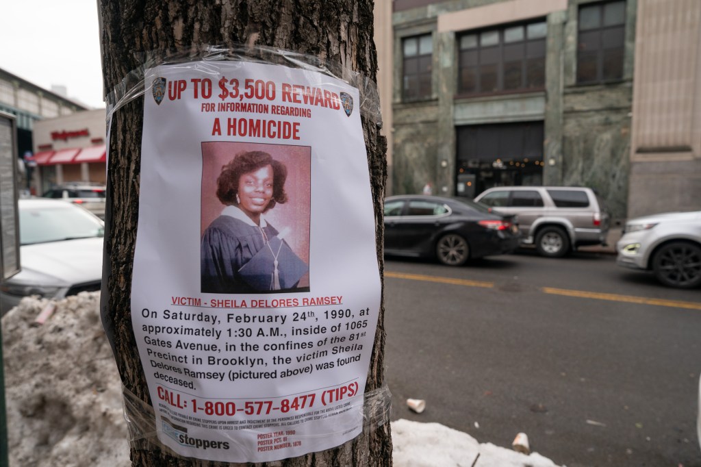 NYPD used DNA research to identify the victim of a brutal 1990 homicide. But who wanted her dead?