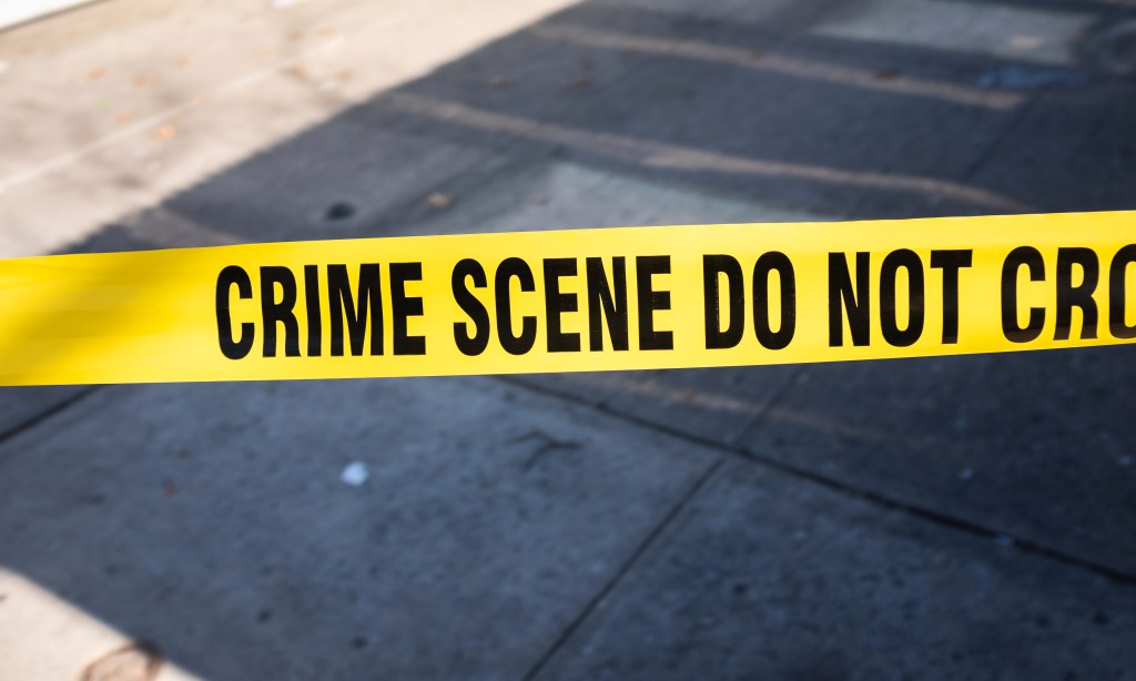 Two dogs shot dead by NYPD cops to save Queens owner from mauling