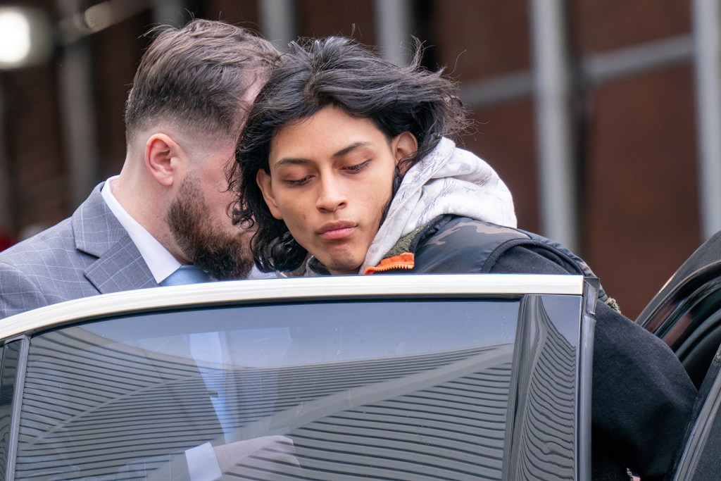 Teen stabber admits to nearly killing Queens mom: prosecutors