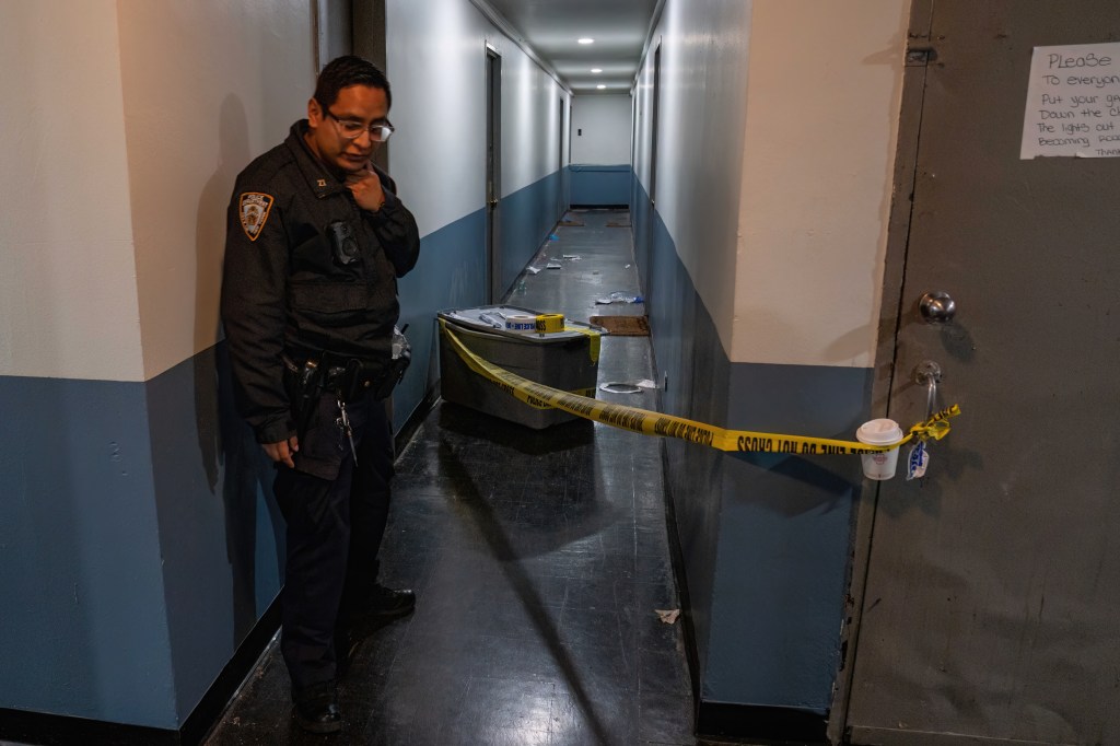 Woman, 74, stabbed to death in Brooklyn apartment building, second woman wounded