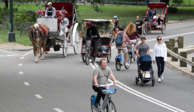 Mamdani's easy parks improvement