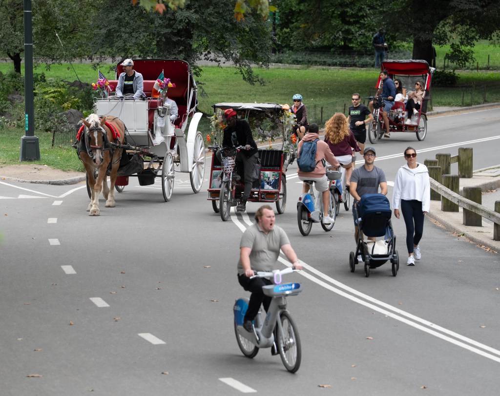 Mamdani's easy parks improvement