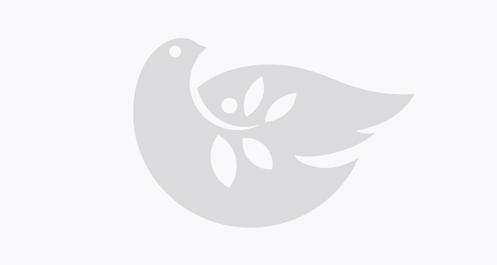 Catholic Schools in the Archdiocese of New York Continue Renewal, Announce Key Changes