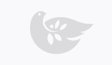 Catholic Schools in the Archdiocese of New York Continue Renewal, Announce Key Changes