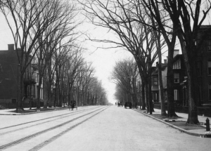 Tree-lined Genesee Street in Utica, ca 1900