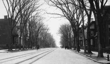 Tree-lined Genesee Street in Utica, ca 1900