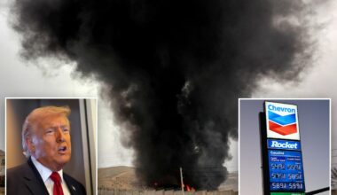 'I have a plan for everything'