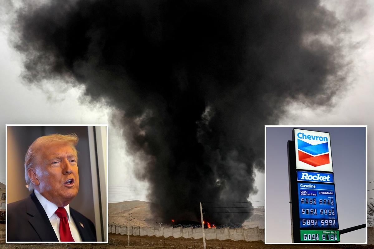 'I have a plan for everything'