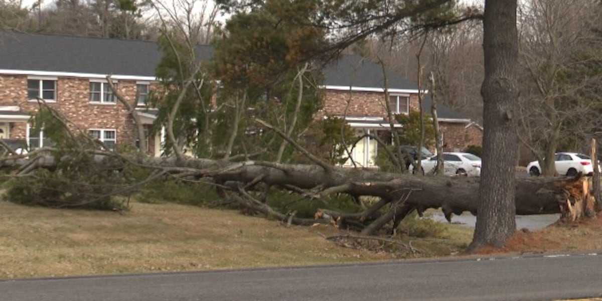 Wind brings down trees, power lines around North Country