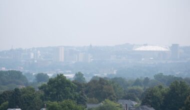 Wildfire smoke impacts grassland birds