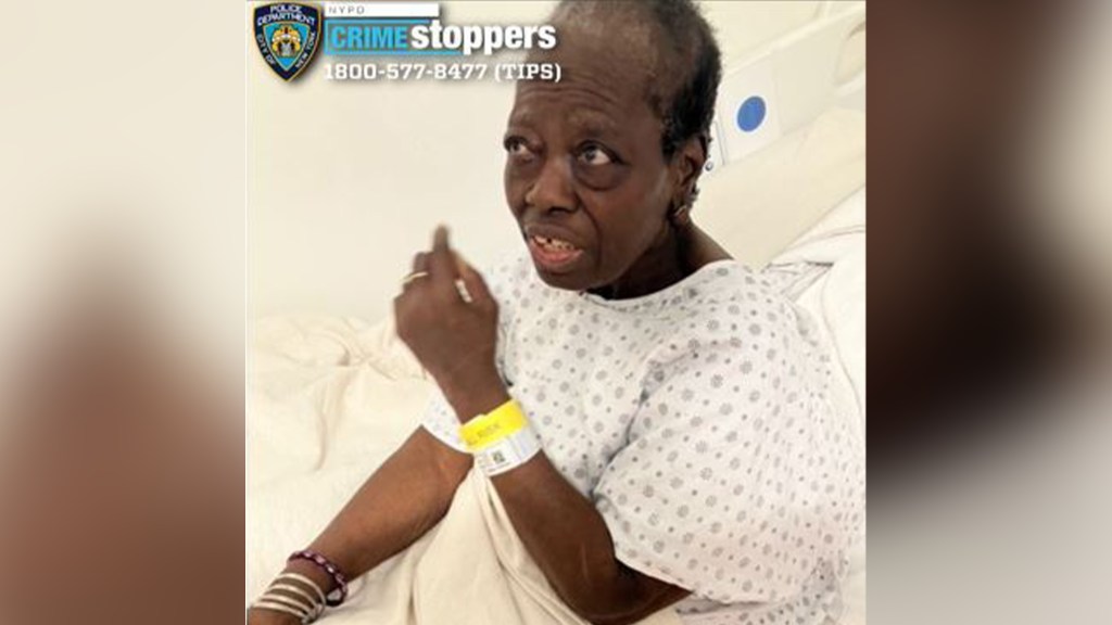 NYPD asks public's help IDing mystery woman found wandering Brooklyn streets