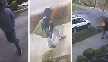 Queen Anne Burglary...