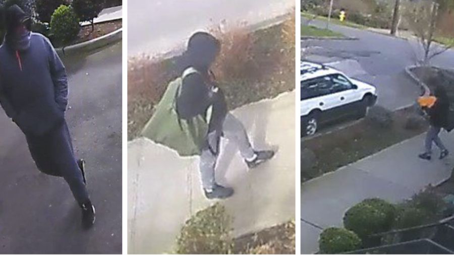 Queen Anne Burglary...