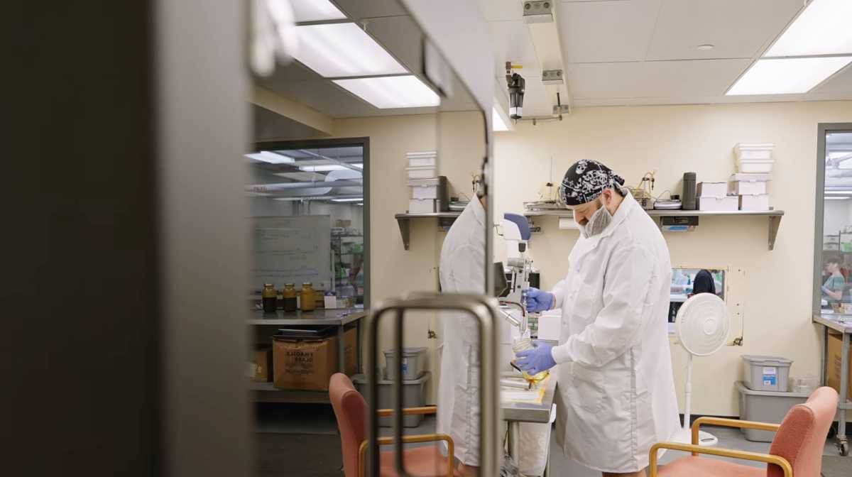 New York-based cannabis brand Veterans Choice Creations focuses on easing pain and accessibility