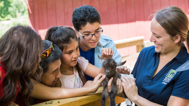 A zoo keeper holding a baby goat for a family to pet at the Ross Park Zoo