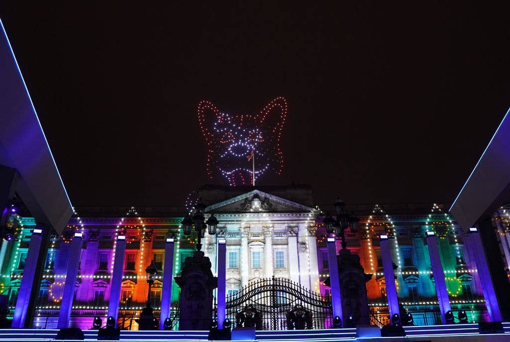The corgis were honoured during the Queen's Platinum Jubilee