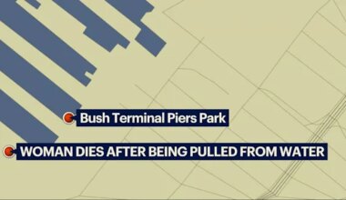 News 12 | Brooklyn | 29-year-old woman dies after being pulled from the water in Sunset Park
