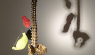 Andisheh Avini: All of You