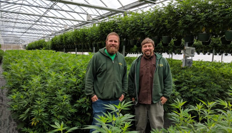 How Nanticoke Built One of New York’s Most Diverse Cannabis Portfolios