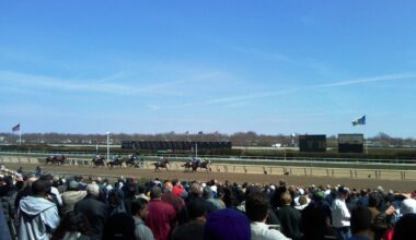 What Are The Best Horse Racing Tracks In Brooklyn?