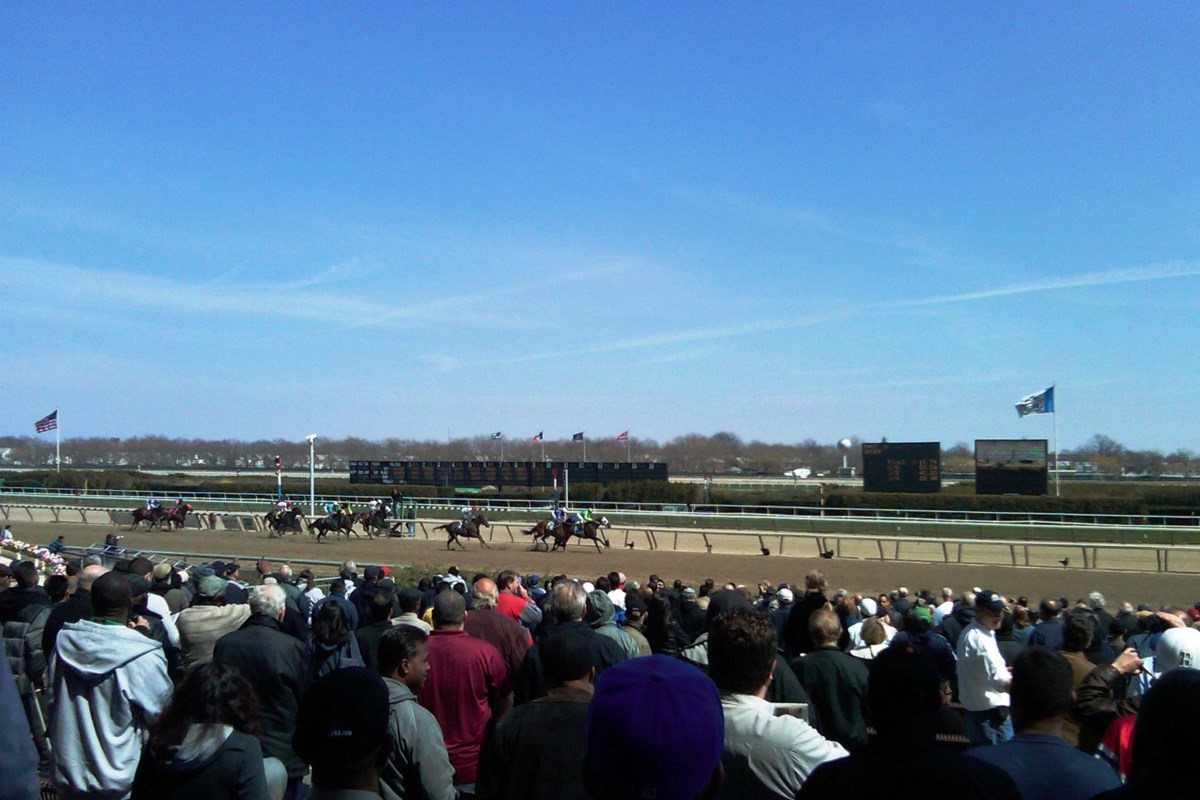 What Are The Best Horse Racing Tracks In Brooklyn?