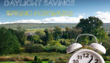 See How New York State Views Daylight Saving Time