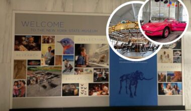 Top 10 Fascinating Things To See At The New York State Museum