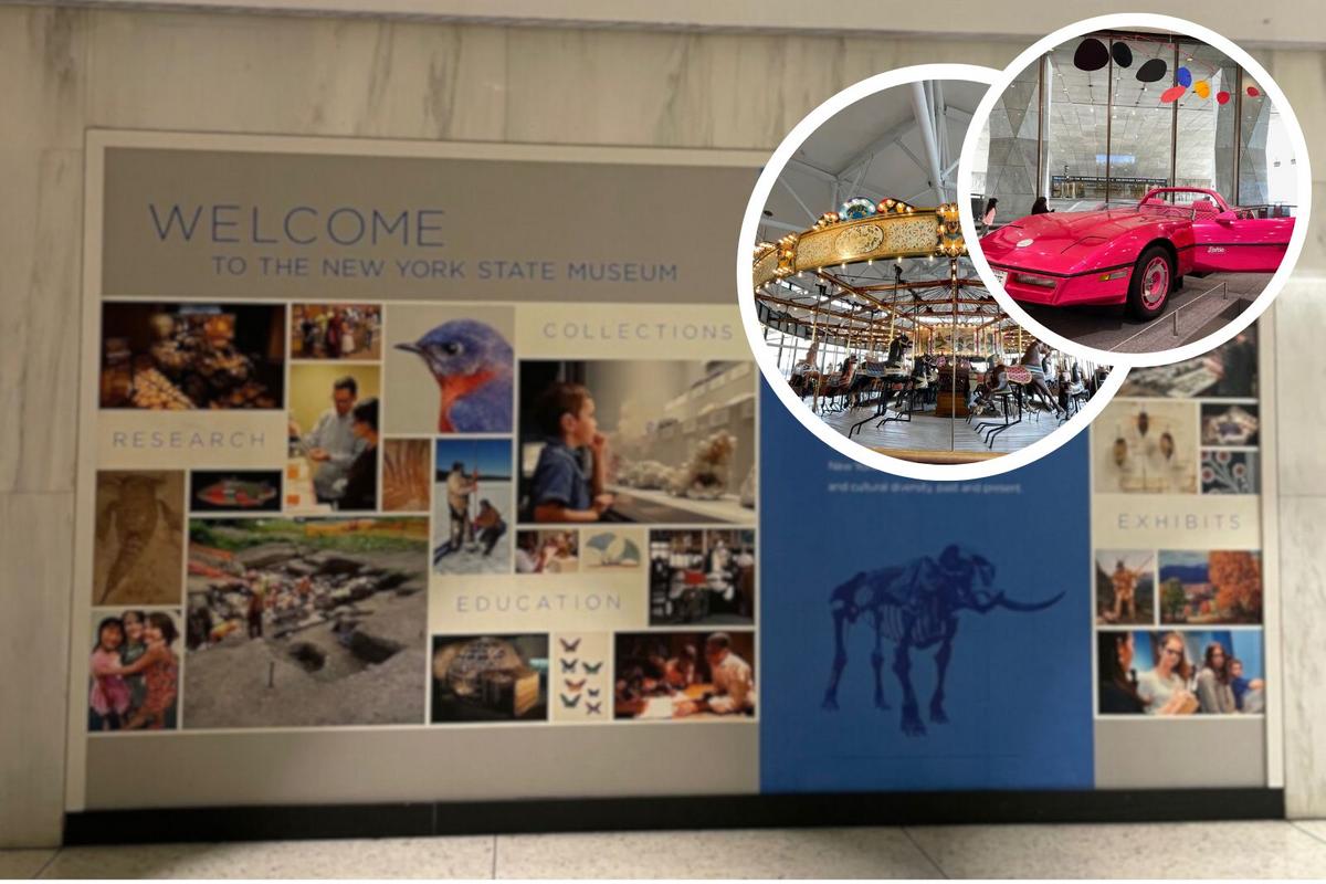 Top 10 Fascinating Things To See At The New York State Museum