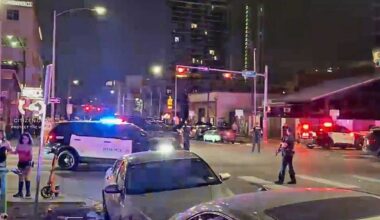 Texas mass shooting suspect has ties to Bronx, sources say; possible terror link investigated