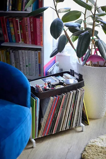 Blue velvet chair next to a record holder filled with vinyl records, a potted plant, and a bookshelf with colorful books.