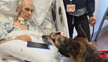 N.Y.C. Man Enjoys Final Visit with His German Shepherds and Shares His Dying Wish for the Beloved Dogs