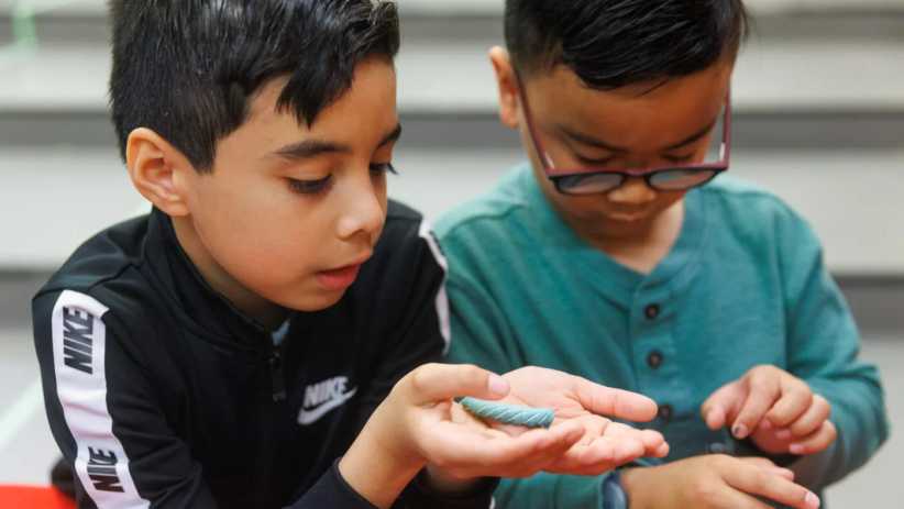 2 boys examining something in their hands. 