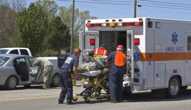Five Injured in Car Accident on the Bronx River Parkway