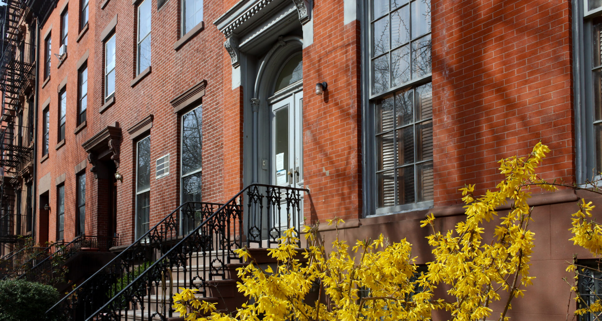 brooklyn-spring-stoop-brownstoner-stock-2020-sdevries