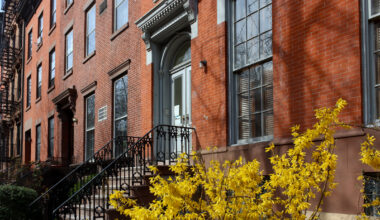 brooklyn-spring-stoop-brownstoner-stock-2020-sdevries