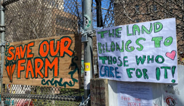 Bushwick Farm Padlocked Amid Migrant Crisis, Fines and Fed-Up Owner