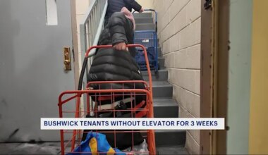 News 12 | Brooklyn | 'I feel like I’m in prison.' Bushwick tenants spend 3 weeks without an elevator