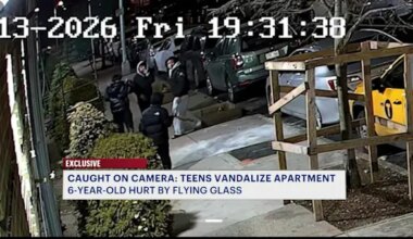 News 12 | Brooklyn | Caught on camera: Branch hurled through Kensington apartment window injures 6-year-old
