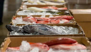 Yahoo lifestyle home