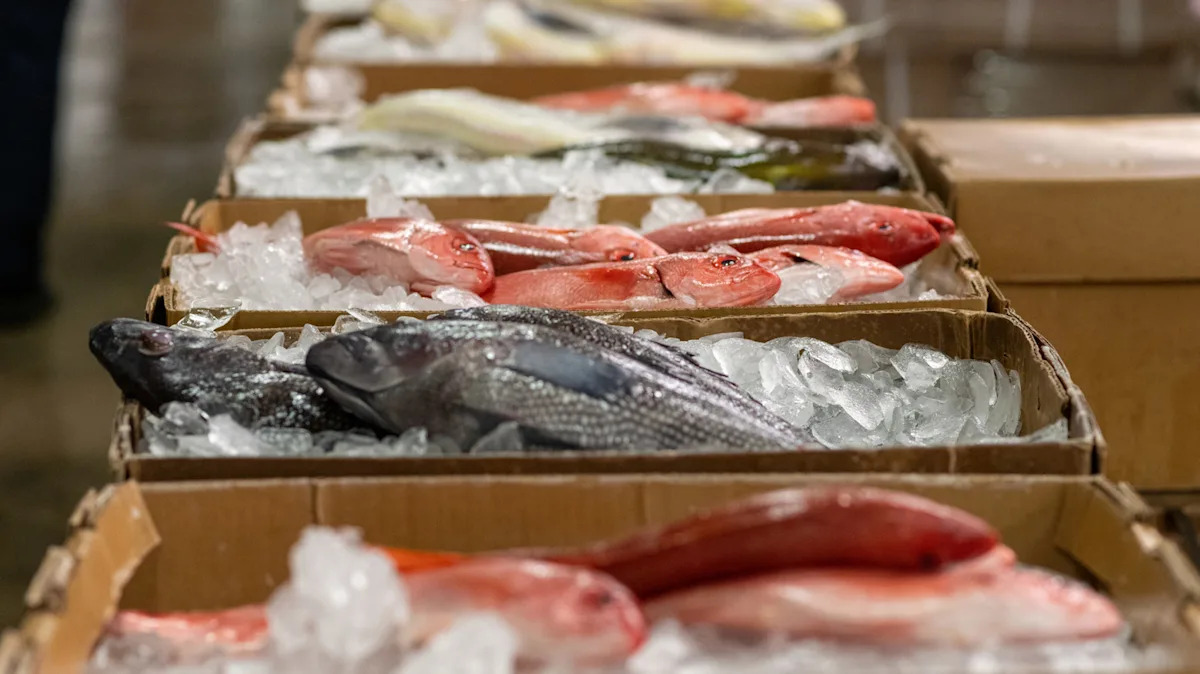 Yahoo lifestyle home