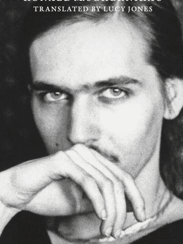 Ronald M. Schernikau’s SMALLTOWN-NOVELLA