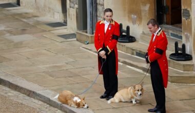 Sarah Ferguson Denies Claims She Proposed Cloning Queen Elizabeth’s Corgis for Reality TV Show