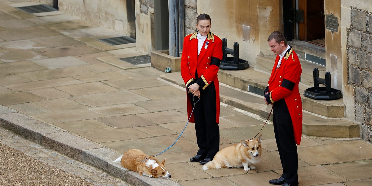 Sarah Ferguson Denies Claims She Proposed Cloning Queen Elizabeth’s Corgis for Reality TV Show