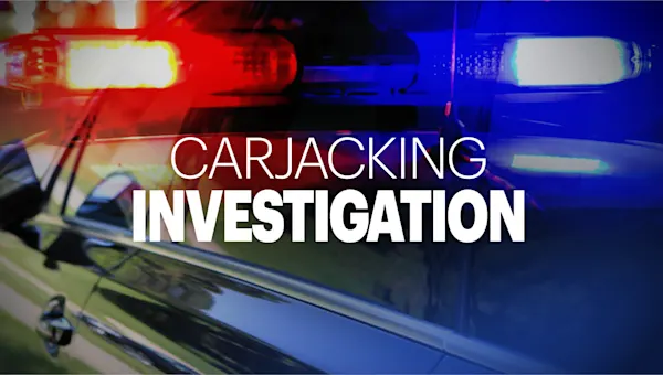 News 12 | Brooklyn | 20-year-old man injured in violent Marine Park carjacking