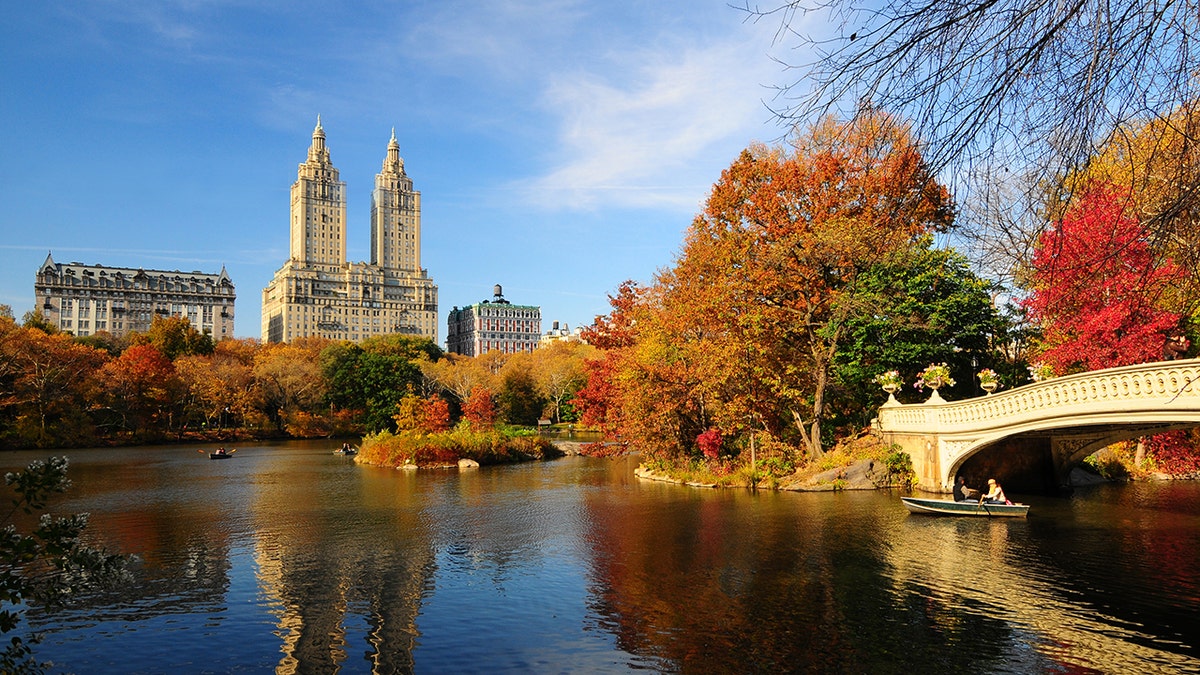 Central Park in New York City