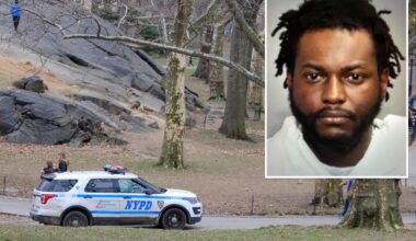 NYC Good Samaritans stop homeless pervert attempting to rape woman in Central Park