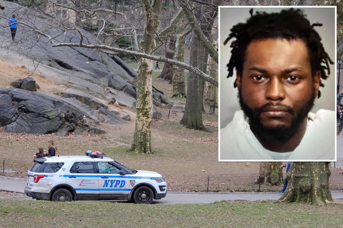 NYC Good Samaritans stop homeless pervert attempting to rape woman in Central Park