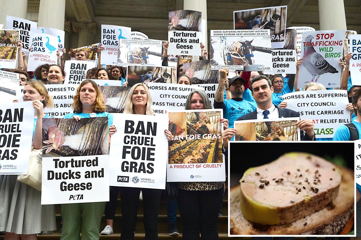 NYC can enforce controversial ban on foie gras, court rules