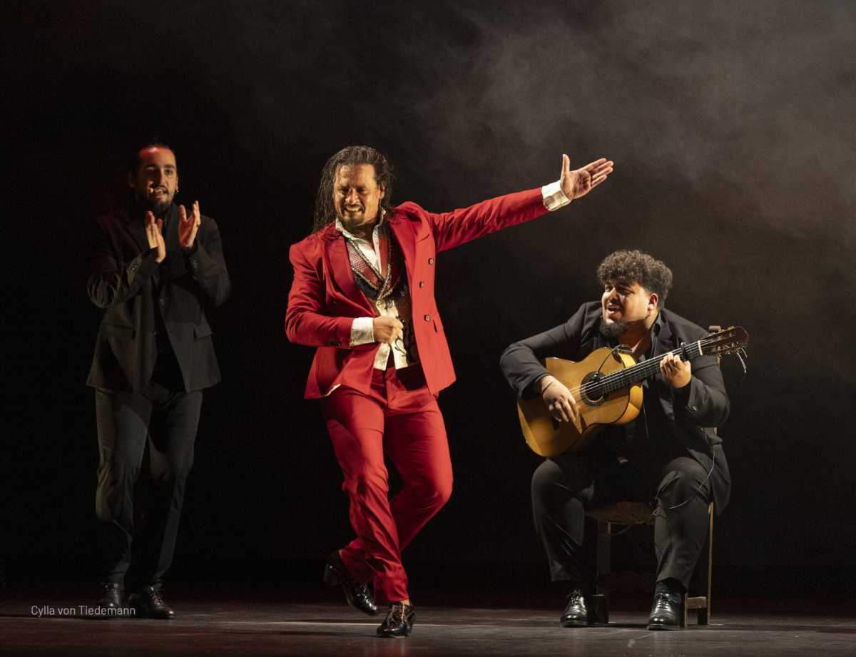 The New York Flamenco Festival is celebrating 25 years.