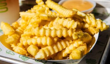 NYC's Shake Shack has 'best value fries' in America: study